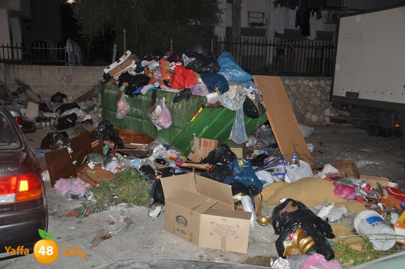 trash lud 907 (11).JPG